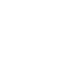 Branding Icon
